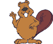 Gif castor